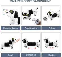 Robot dog dachshund, kid toy, dachshund, remote control + following